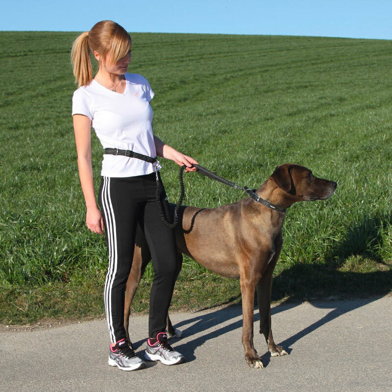  تصویر سبک زندگی دوم لید کمری مخصوص پیاده روی سگ کربل 