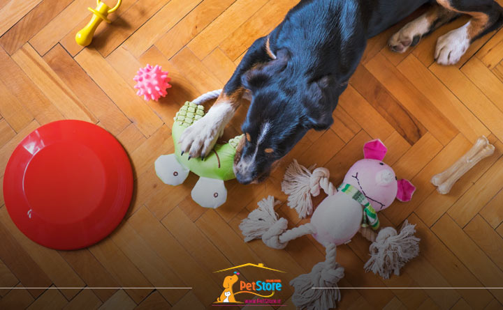 خرید اسباب بازی برای سگ