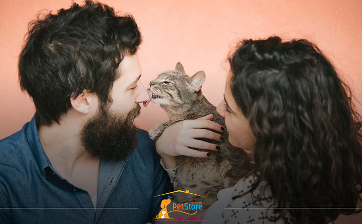 گربه صاحبش را لیس می زند