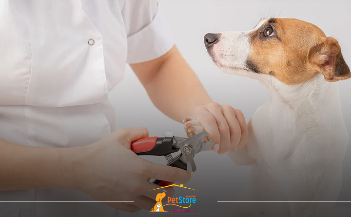 ناخن گیر انبری برای سگ