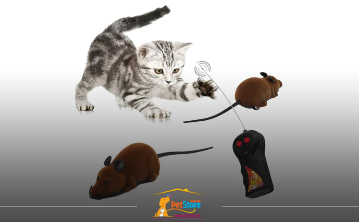 خرید موش اسباببازی گربه
