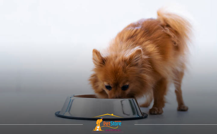غذا برای سگ پامرانین