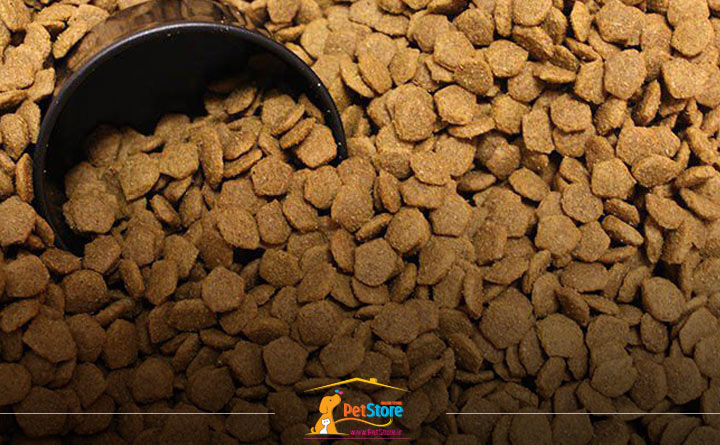 توجه بافت غذای تشویقی سگ هنگام خرید