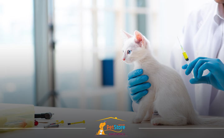 برنامه زمانی واکسیناسیون گربه