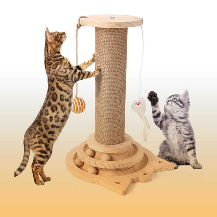 راهنمای خرید اسکرچر گربه