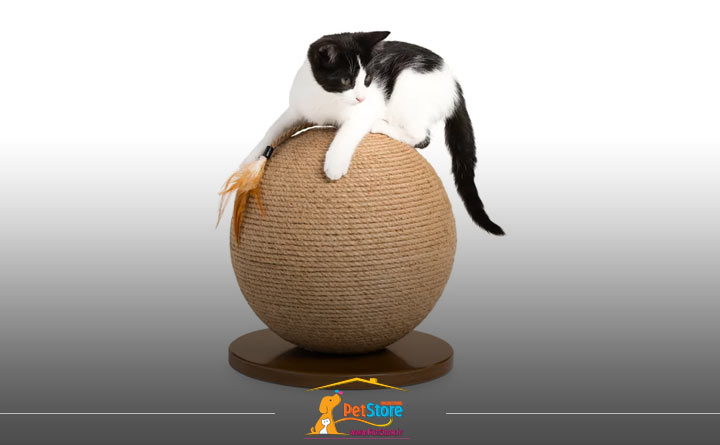 آشنایی با اسکرچر اسباببازی