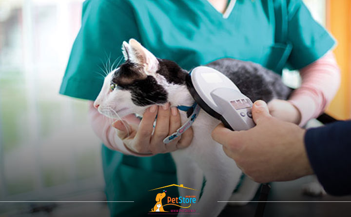 مجهز کردن گربه به میکروچیپ