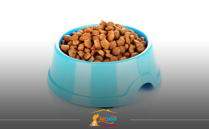 غذای خشک مناسب برای توله سگ 