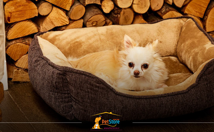 خرید تشک سگ