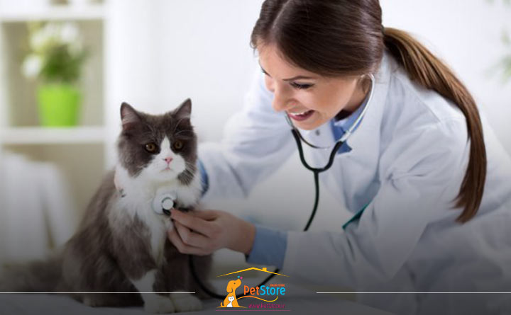 شایع ترین بیماری های گربه