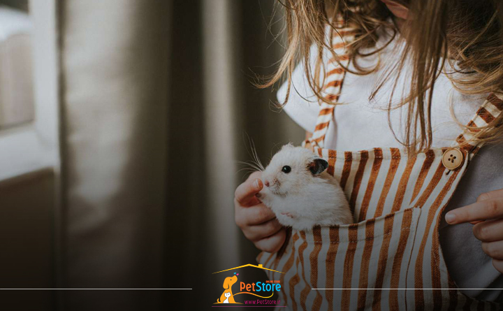 جوندگان مناسب برای حیوان خانگی