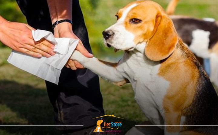 تمیز کردن پنجه سگ