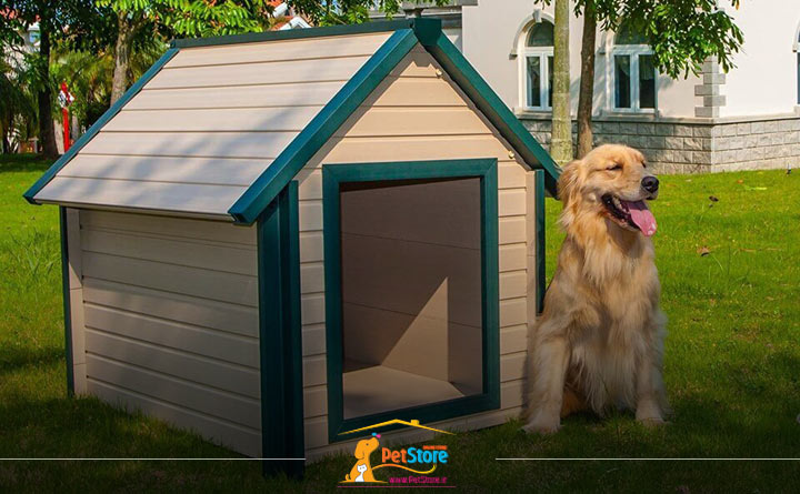 انواع جنس خانه سگ