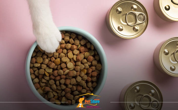 راه‌های افزایش طول عمر سگ: تغذیه مناسب