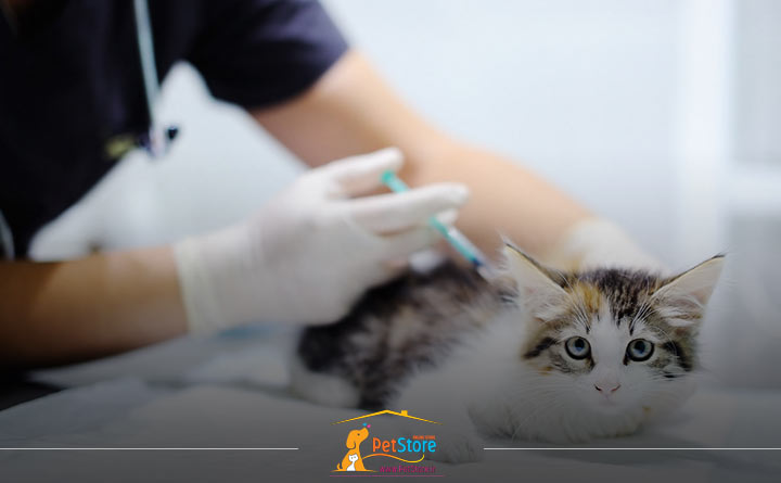 بیماری ویروس نقص ایمنی گربه