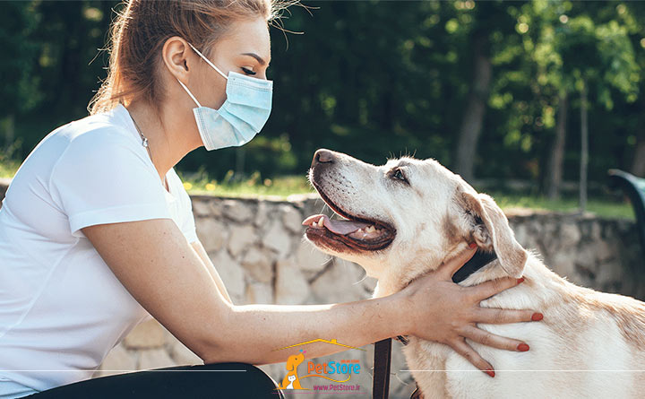 حفظ مراقبت و سلامتی سگ
