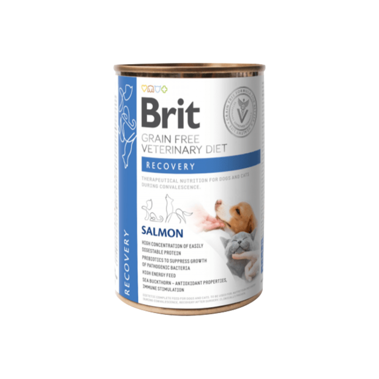 کنسرو غذای سگ بریت مدل ریکاوری وزن 400 گرم