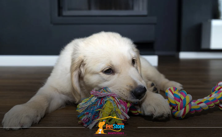 اسباب بازی طنابی برای سگ