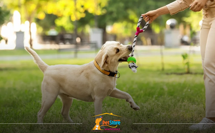 ویژگی سگ اجتماعی