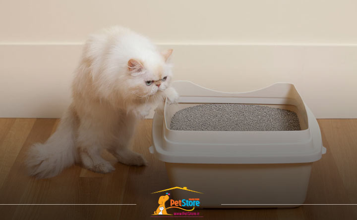 محل قرار دادن توالت یا ظرف خاک گربه