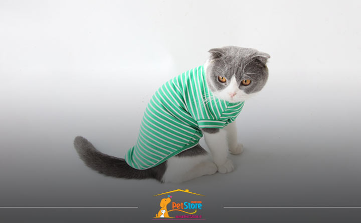 توجه به آزاد بودن دم گربه در لباس هنگام خرید 