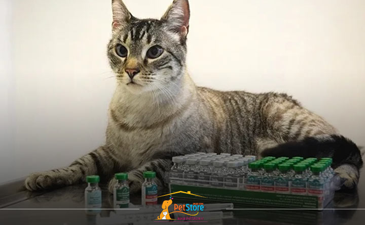 انواع واکسن گربه