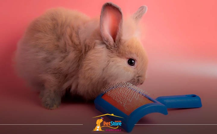 لوازم ضروری نگهداری از خرگوش: لوازم بهداشتی خرگوش