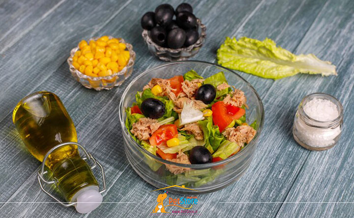 چربی و امگا در رژیم غذایی گربه