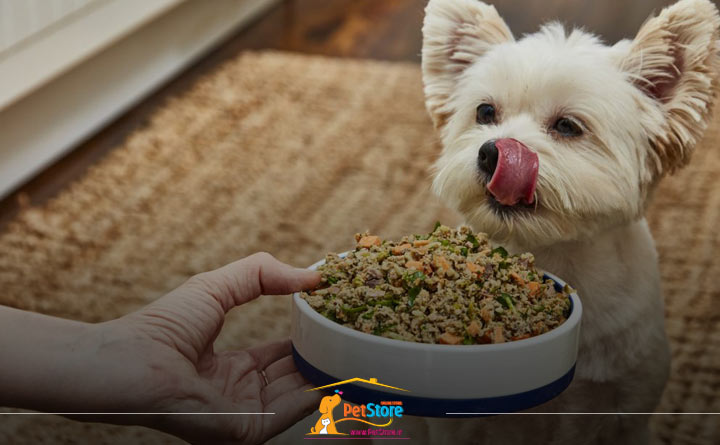 تعریف غذای تر سگ