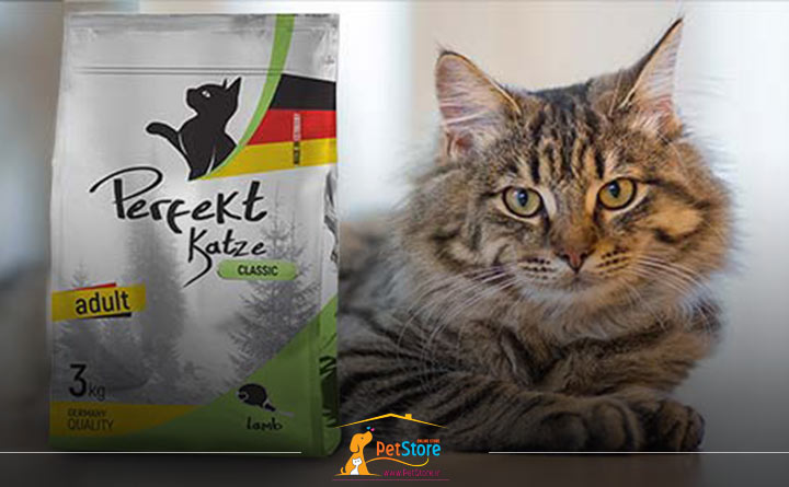 غذا برای گربه عقیم شده