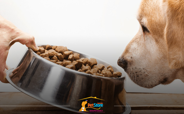 انواع غذای سگ