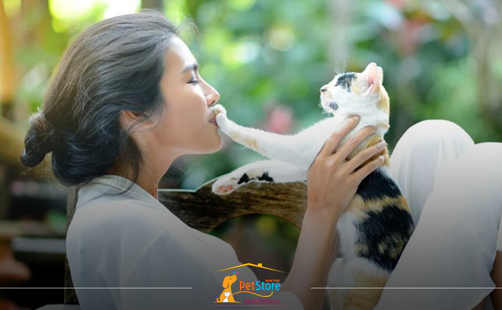 تربیت بچه گربه