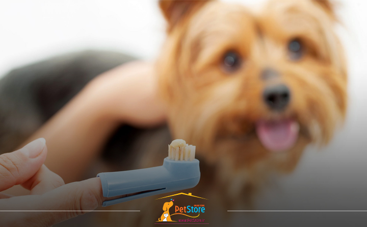 انتخاب مسواک صحیح برای سگ ها