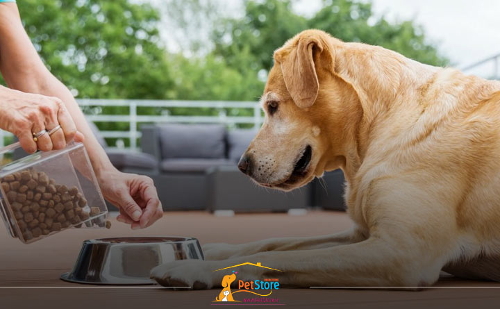 خرید غذا برای سگ عقیم شده 