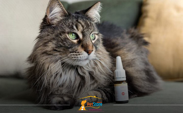 محصولات گربه CBD