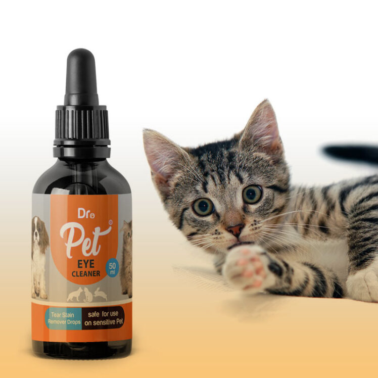 راهنمای خرید قطره گربه