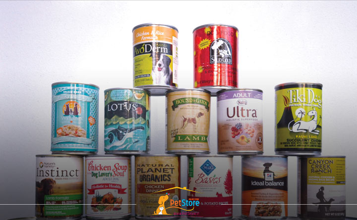 مزایای مهم غذای پوچ سگ