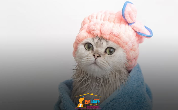 نیاز گربه به حوله 