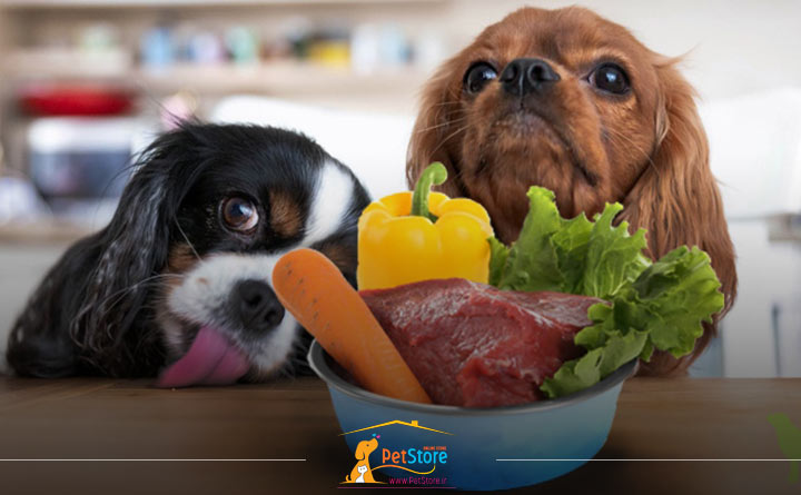 غذای مغذی و کم کالری برای سگ