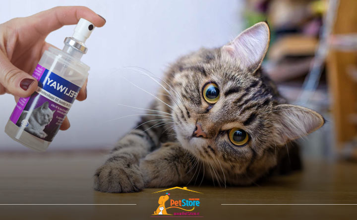 استفاده از اسپری آرام بخش برای گربه