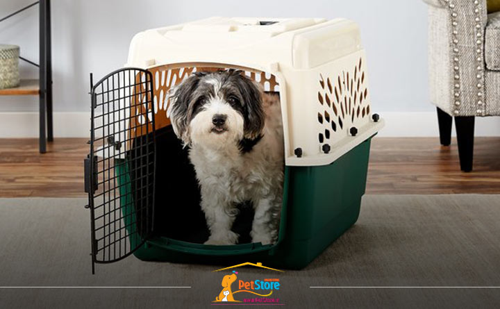 توجه به اندازه باکس حمل و نقل سگ هنگام خرید