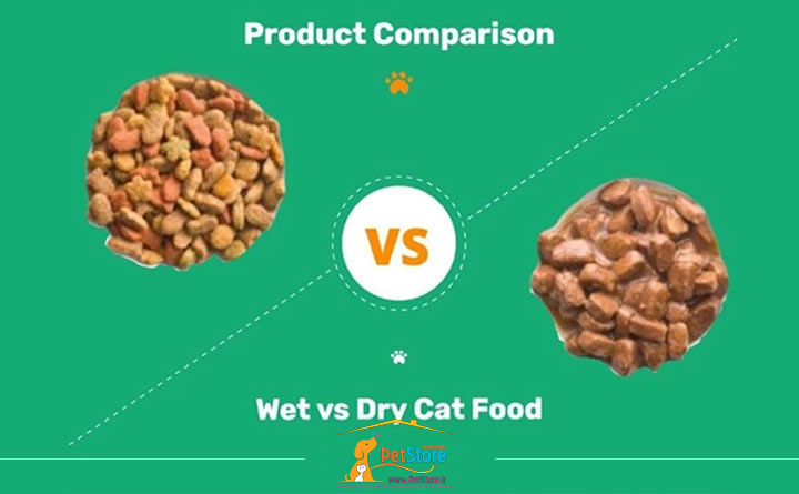 مقایسه غذای مرطوب و خشک گربه