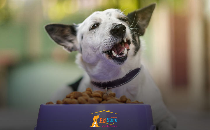 کیفیت مواد تشکیل دهنده غذای پوچ سگ