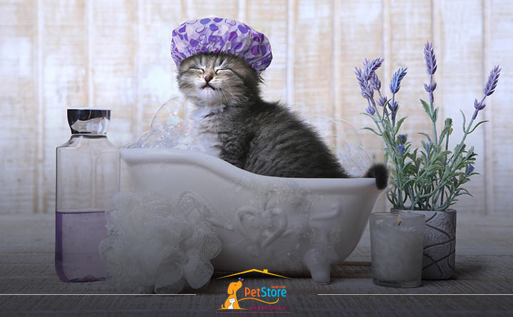 نحوه تمیز کردن گربه