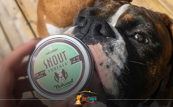 مرطوب کردن بینی سگ با موم 