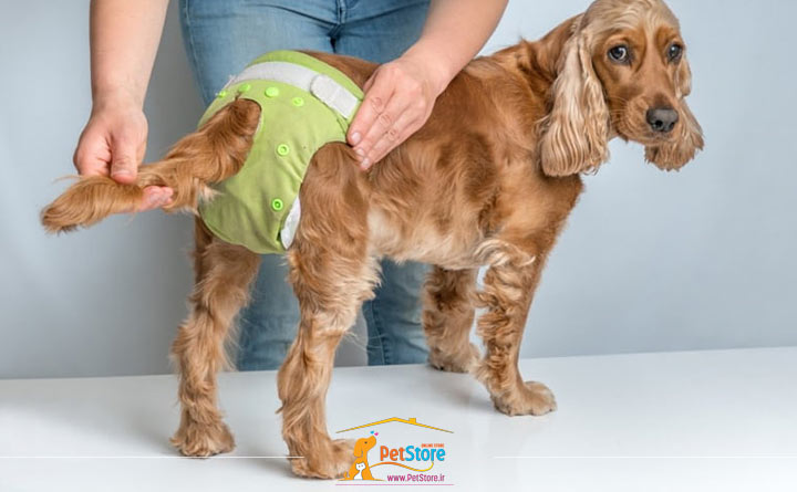 نکات خرید پد زیرانداز بهداشتی سگ