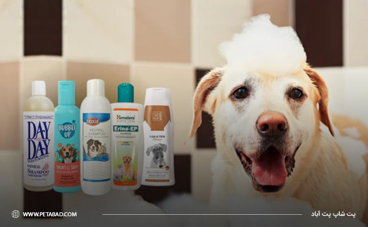انواع شامپو سگ