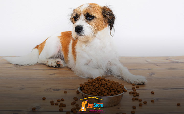 آشنایی با راهنمای خرید غذای تشویقی سگ