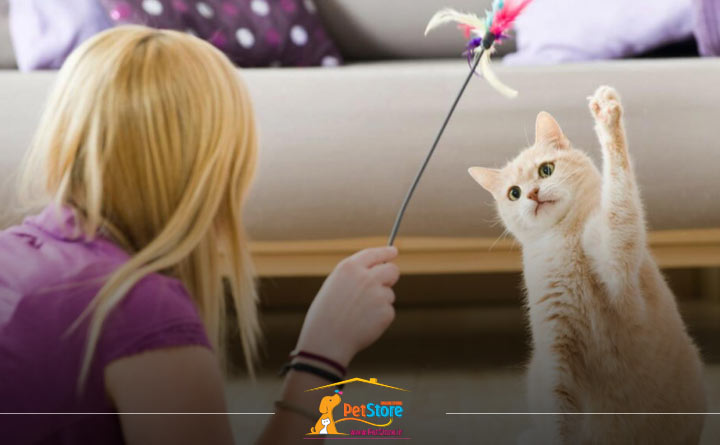 بازی با گربه برای کاهش استرس حیوان خانگی