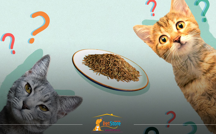 معرفی بهترین برند غذای درمانی گربه